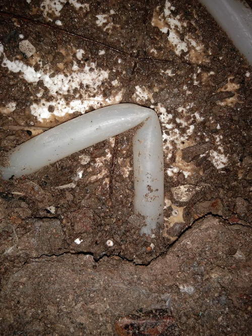 临澧堵点精准查找